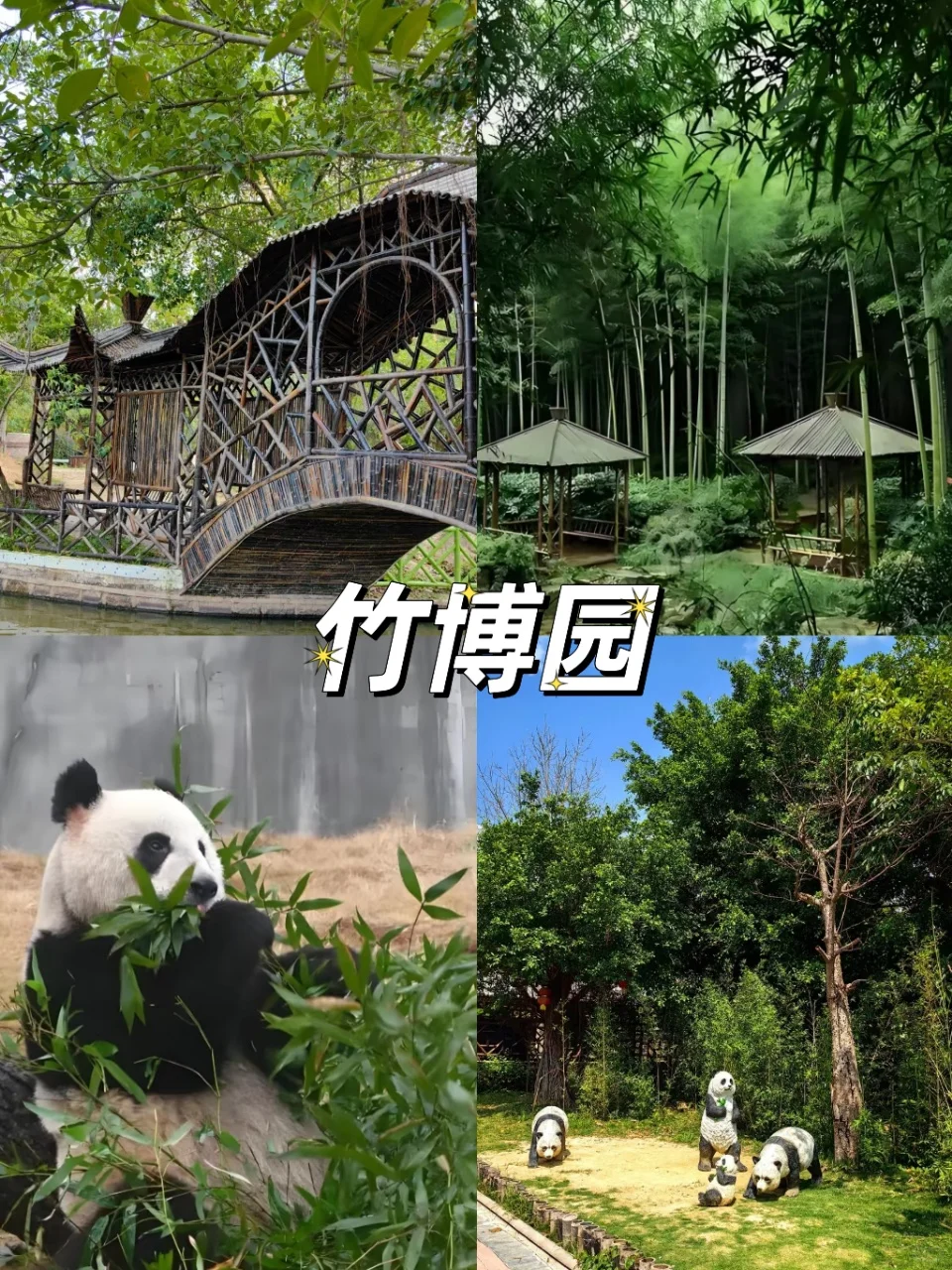 带娃来安吉避暑玩水啦💦