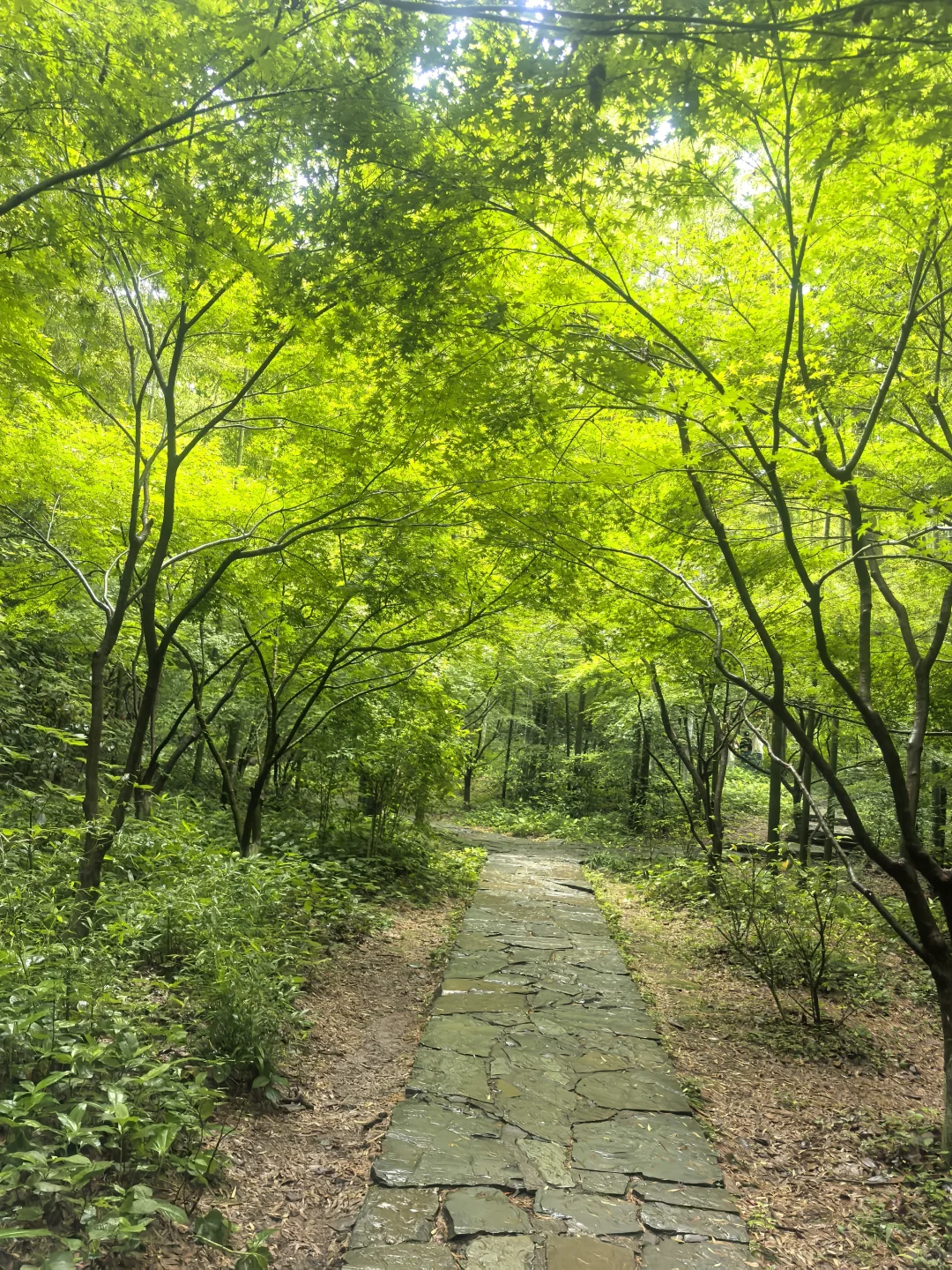去杭州一定要去的小众景点！