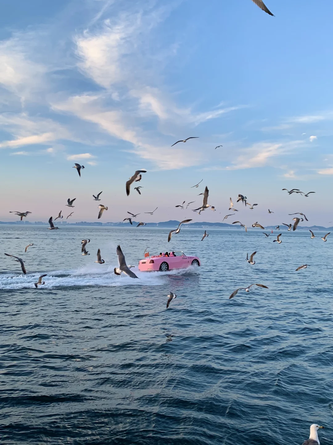 Live图!现在的大连😭简直就是人间理想!!