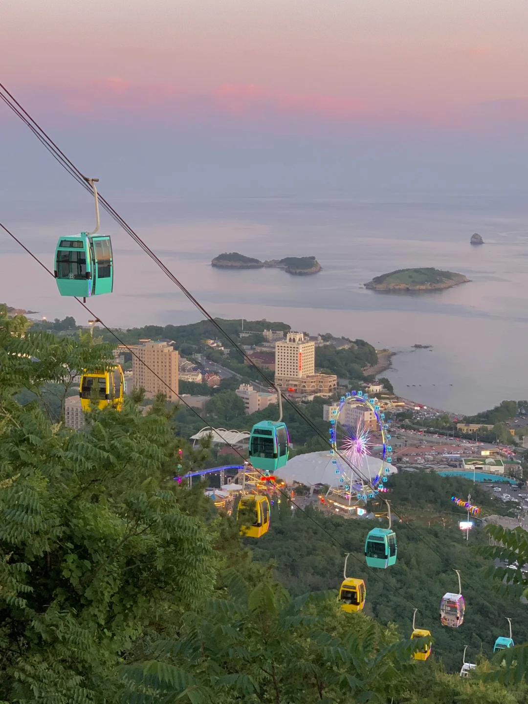 Live图!现在的大连😭简直就是人间理想!!