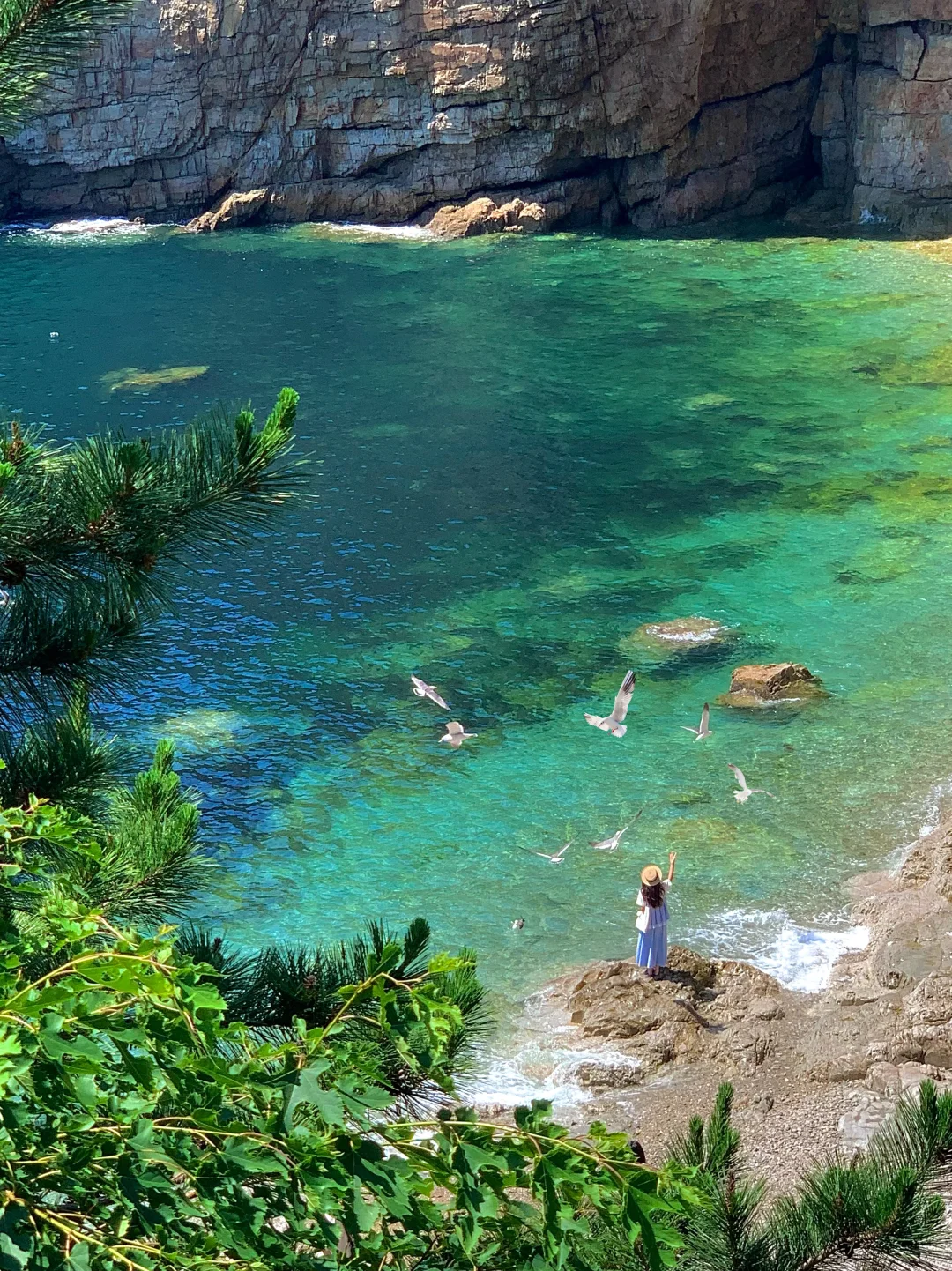 Live图!现在的大连😭简直就是人间理想!!