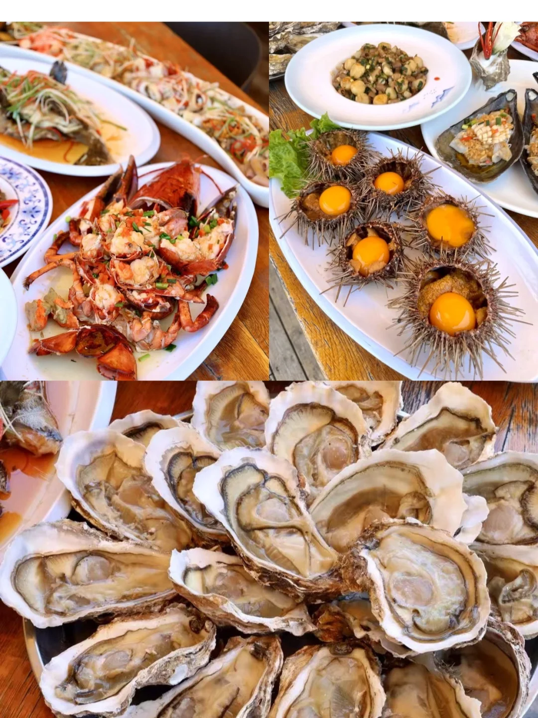 日照2⃣天1⃣夜旅游｜旅行💣行程攻略