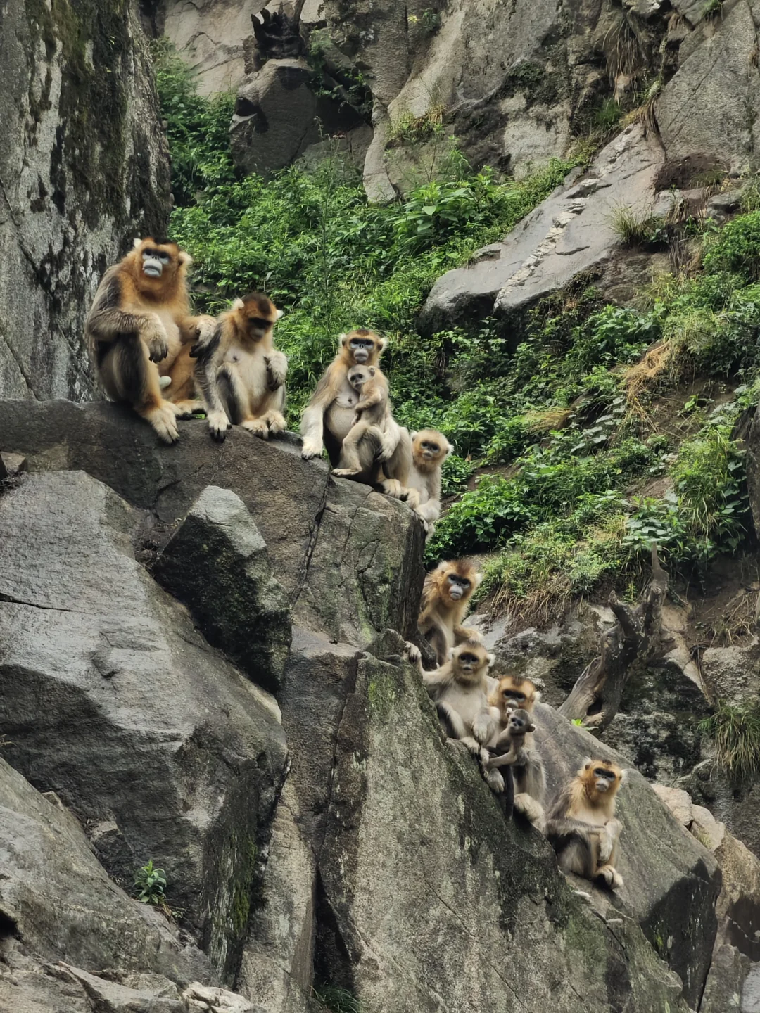 甘肃陇南，宝藏小城