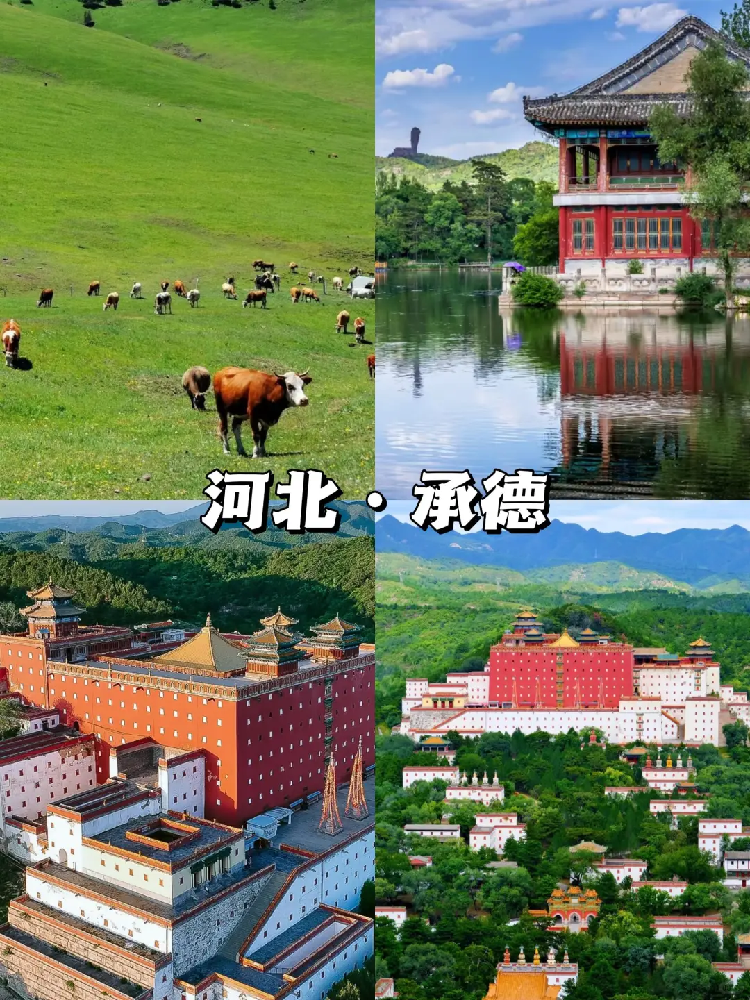 适合20-600人的避暑旅行城市✍🏻快快码住