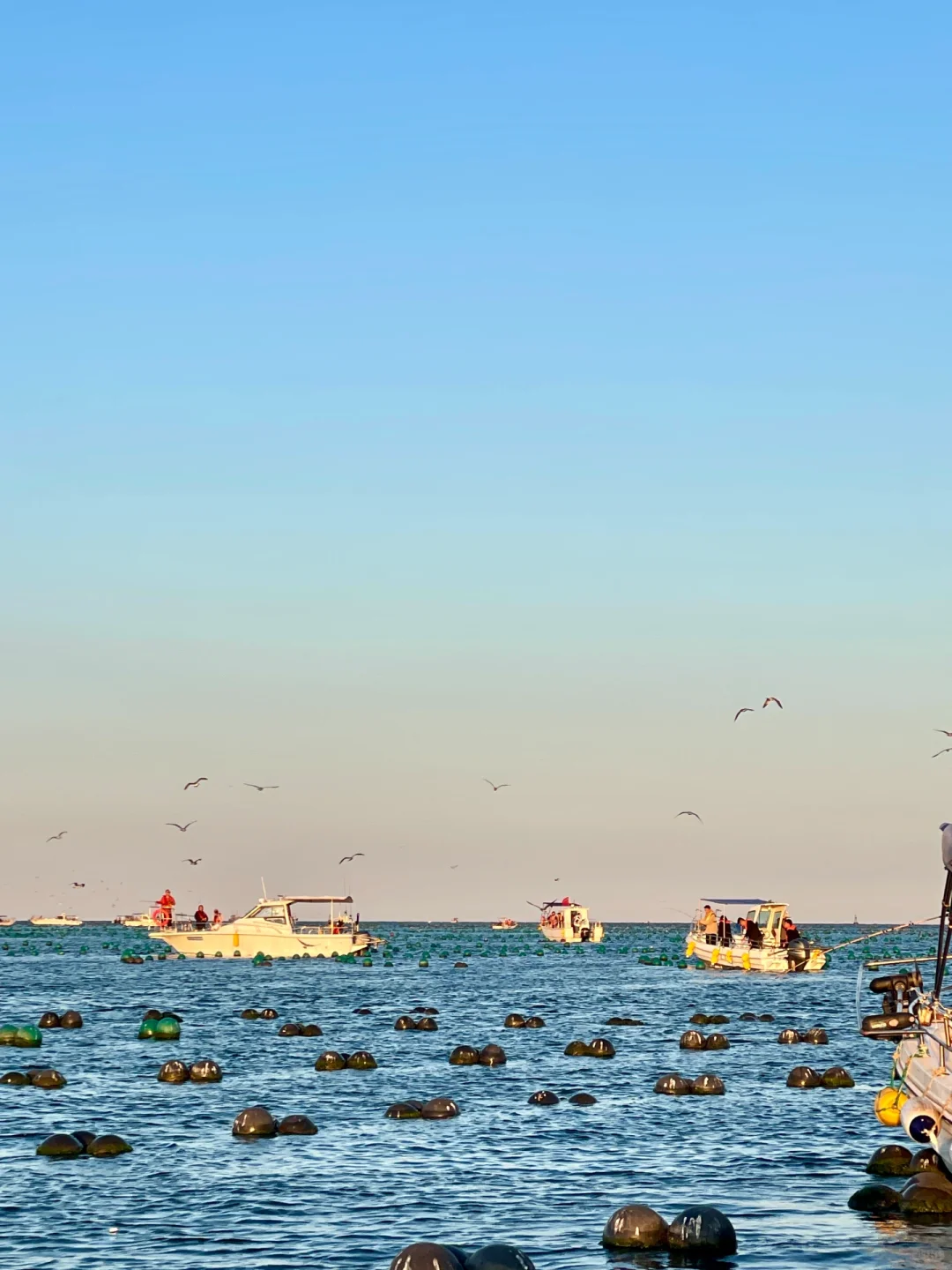 青岛-威海-烟台｜五天玩转三个城市（附excel）