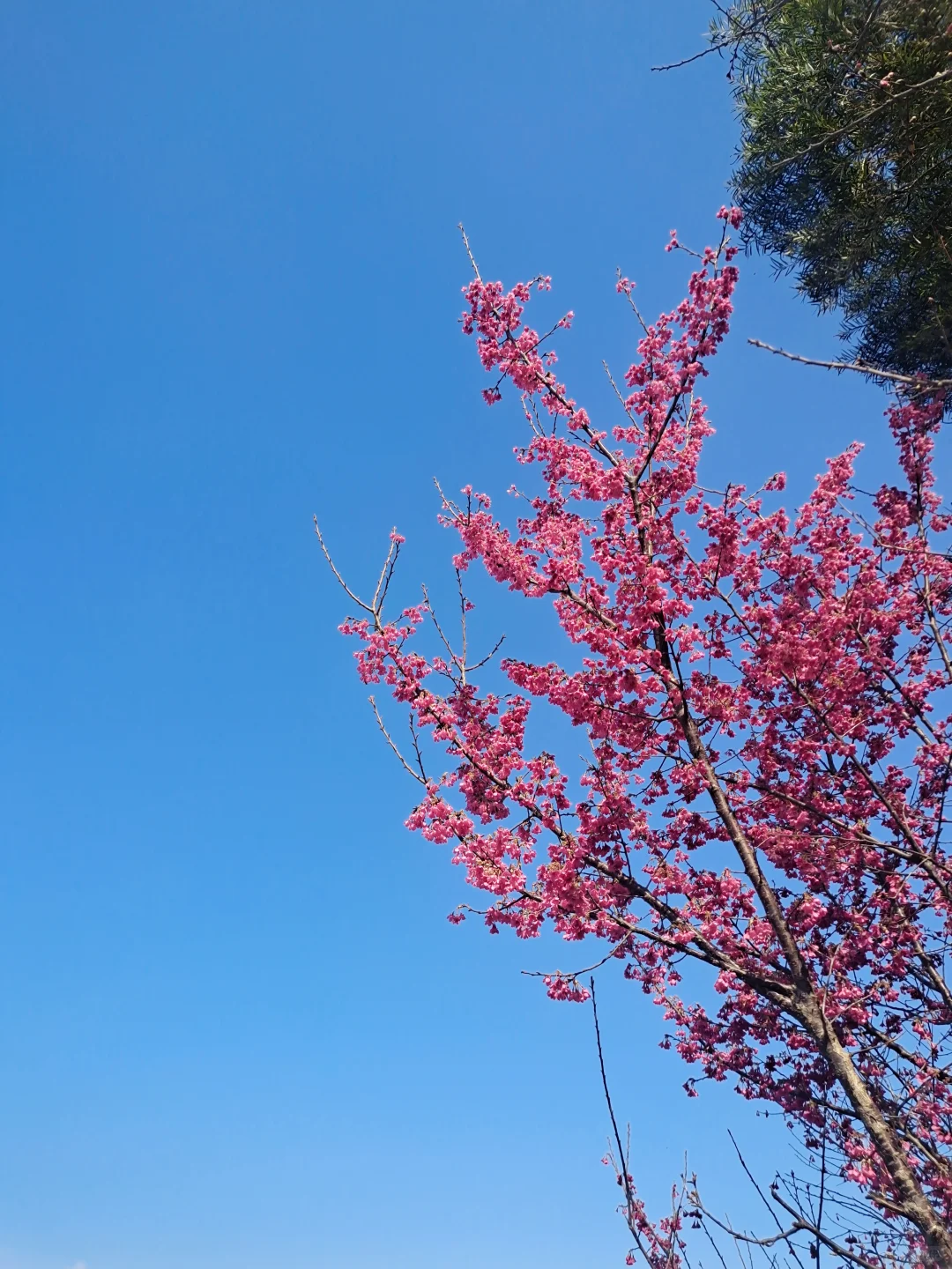 大年初三第二站|福州福道🚶🏻♂️