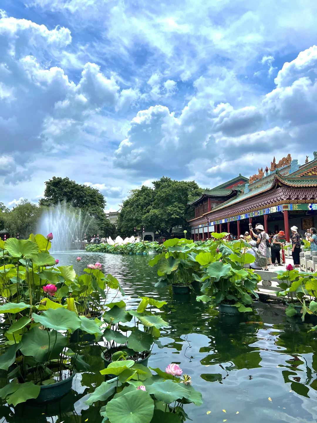 我愿称之为广东园林天花板！🌳🌳