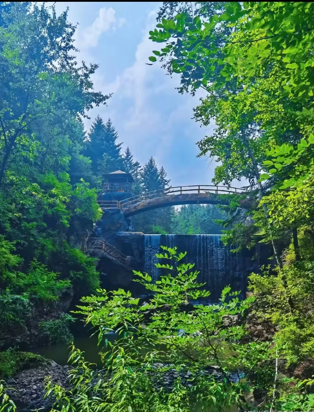 东北老妹30年生活经验倾情分享伊春攻略！