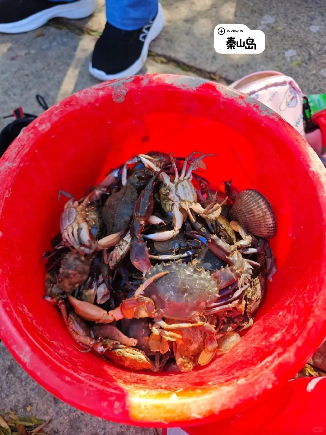 国内百城旅游攻略系列第一站：十三妹连云港