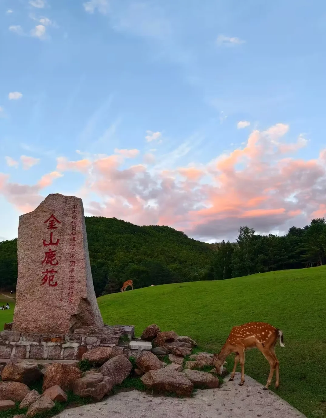 东北老妹30年生活经验倾情分享伊春攻略！