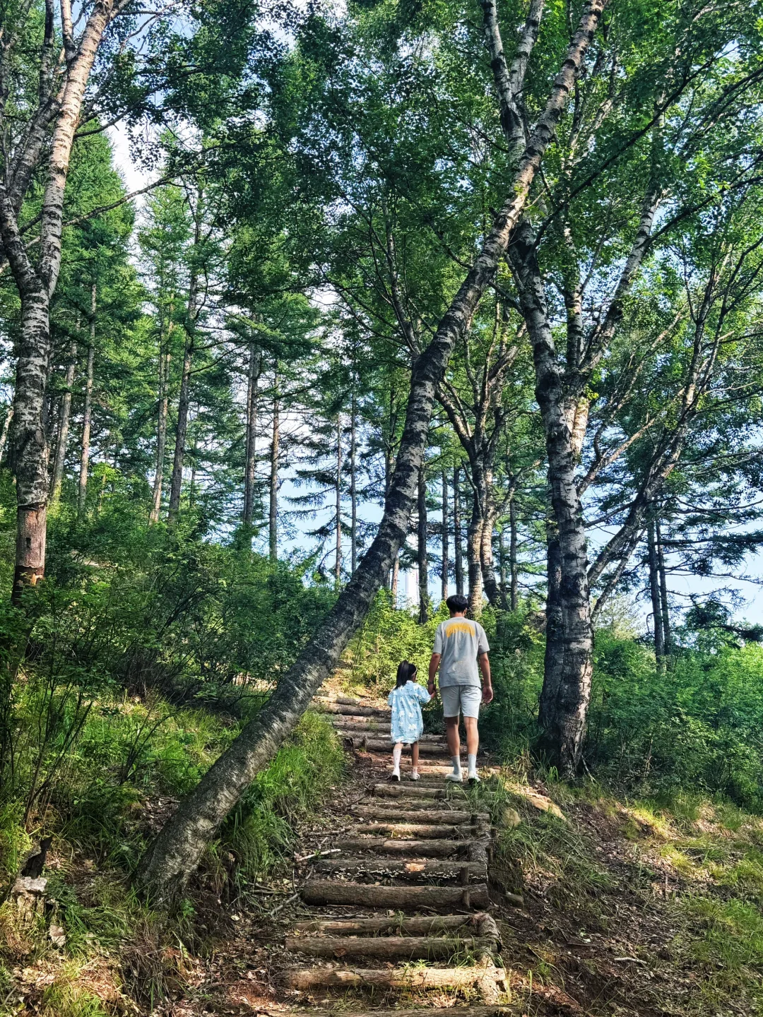📍邯郸周边游｜感受23度的夏天