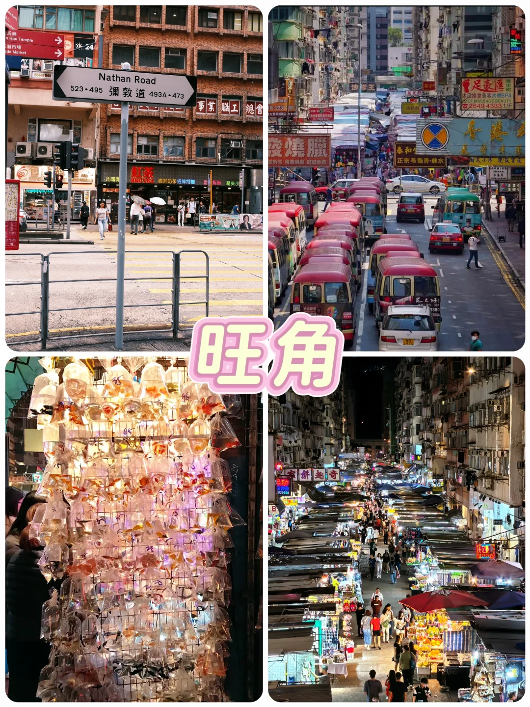 香港citywalk 超全攻略✨第一次来别再瞎逛啦