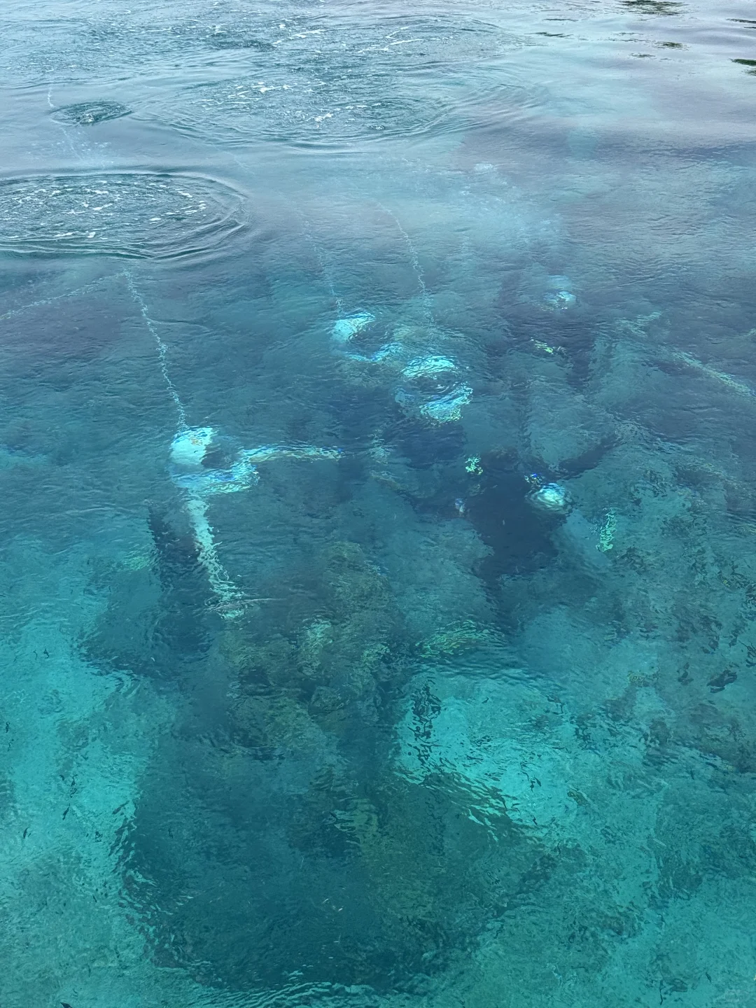 国内哪里有这种海？