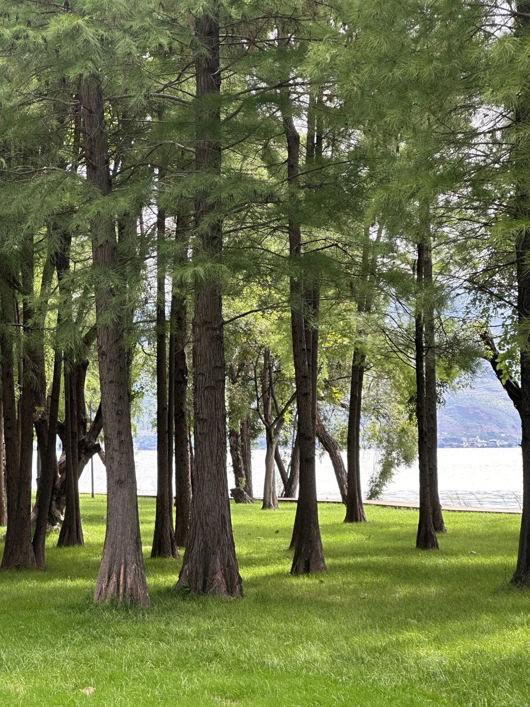 人少小众攻略｜为了这18张图飞了一趟云南🍃