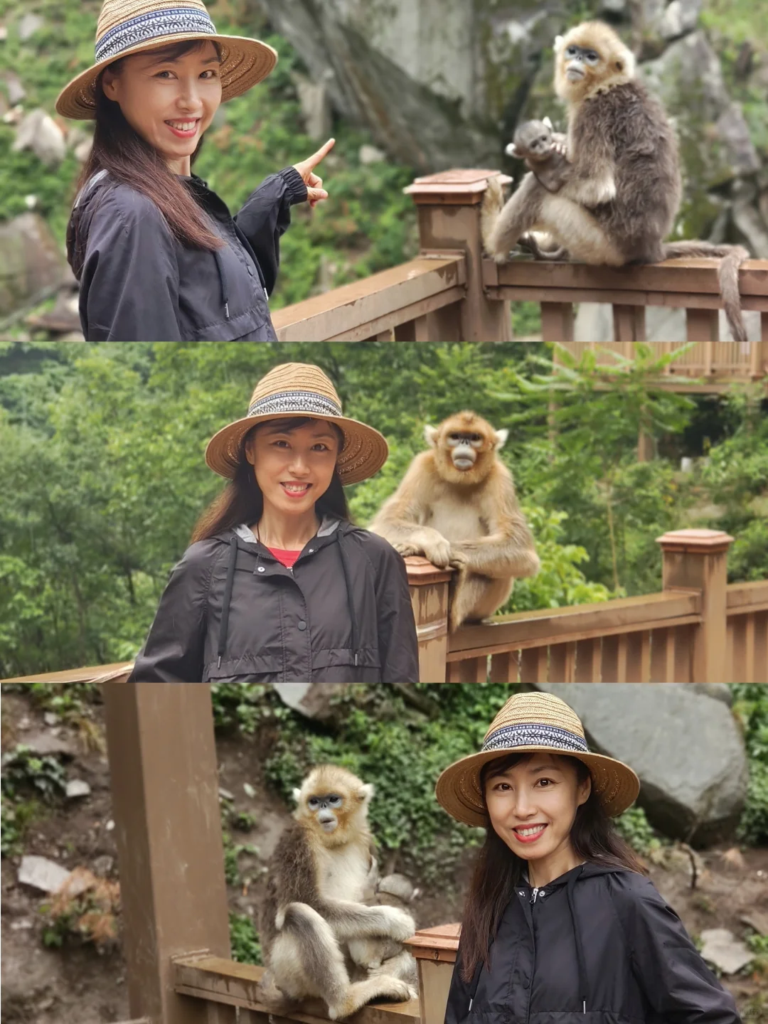 甘肃陇南，宝藏小城