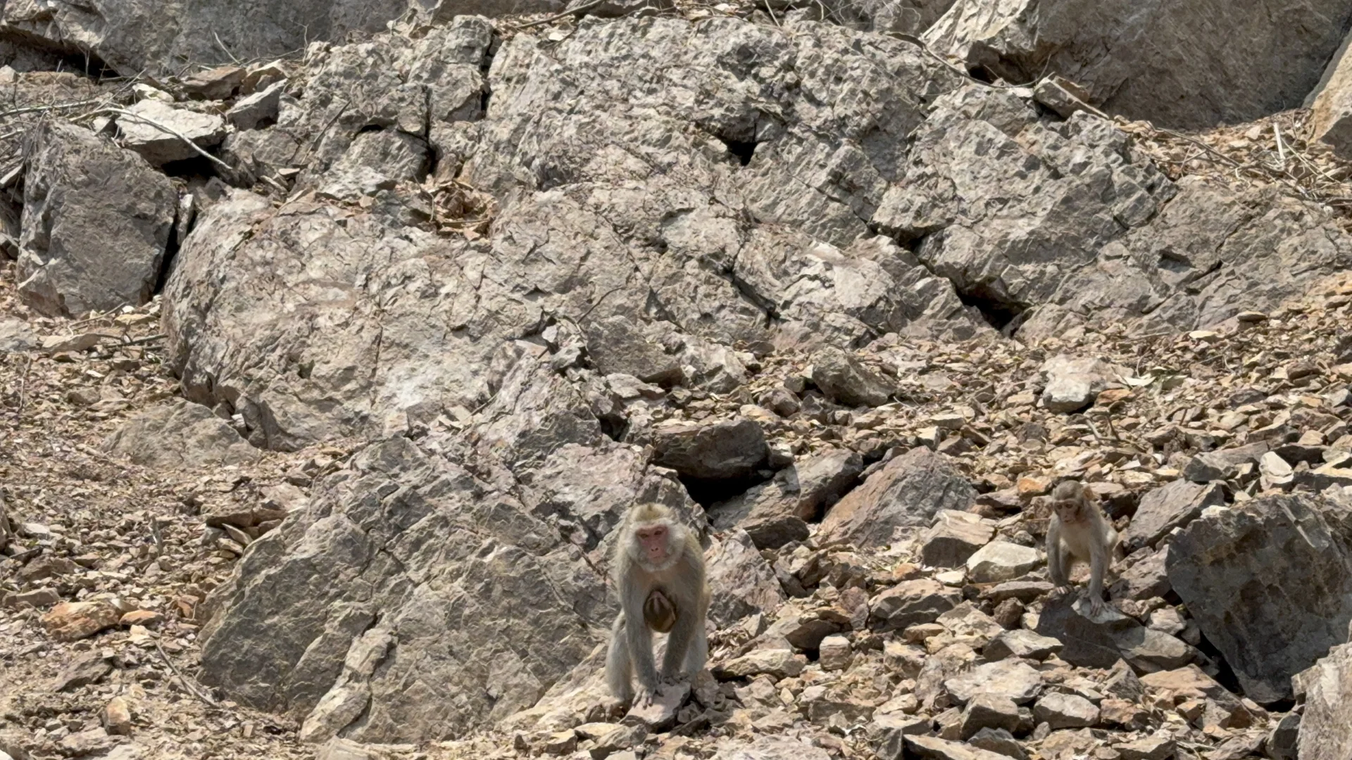 永福！这个地方也太……