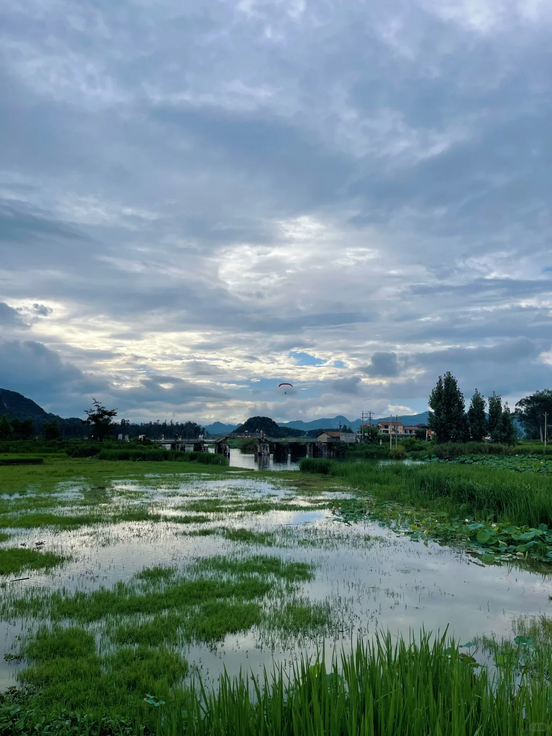 普者黑3日2夜亲子游🪷附上实用攻略
