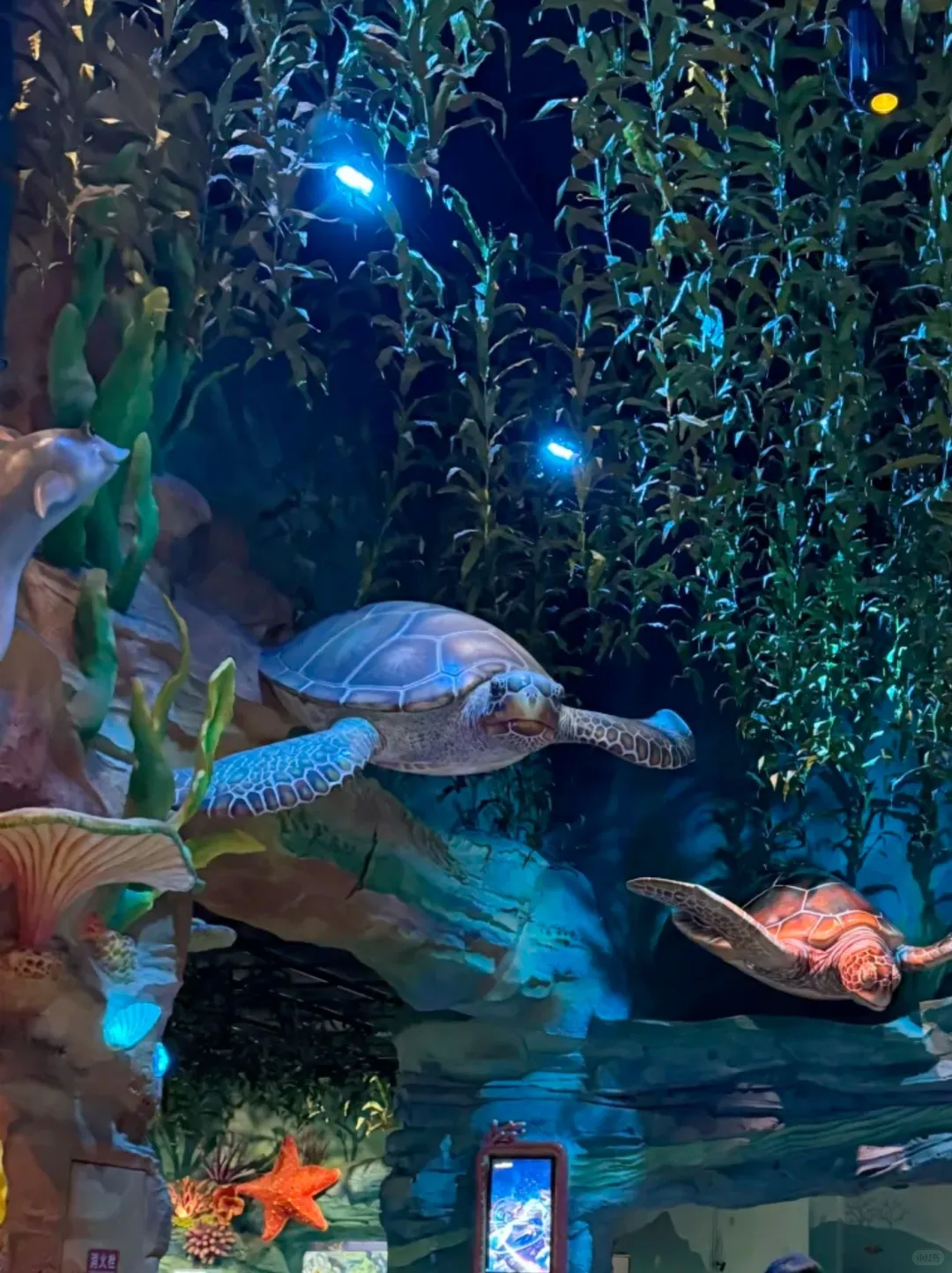 珠海长隆酒店套餐‼️亲测省钱‼️