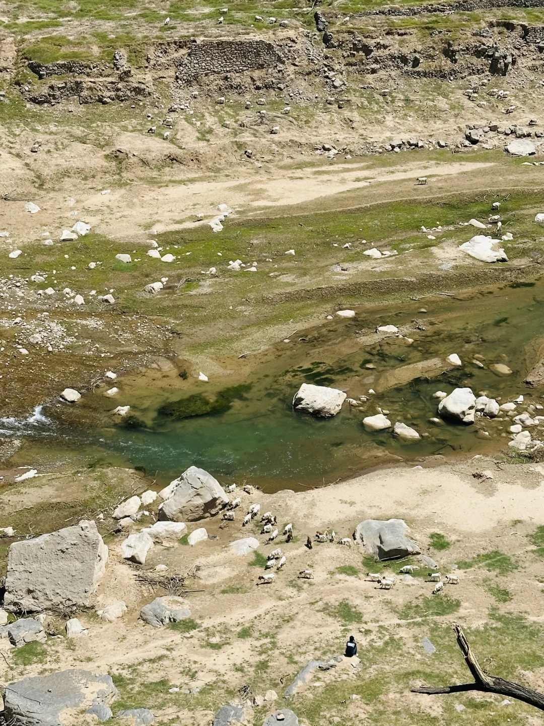 河南 小羊湖 ✅新手必看攻略！