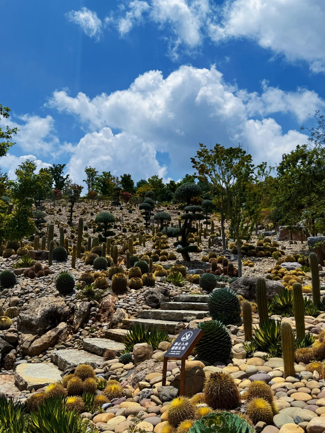 来弥勒太平湖景区，半天也能玩的超精彩💥
