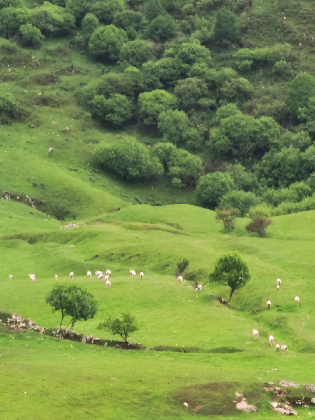 甘肃陇南，宝藏小城