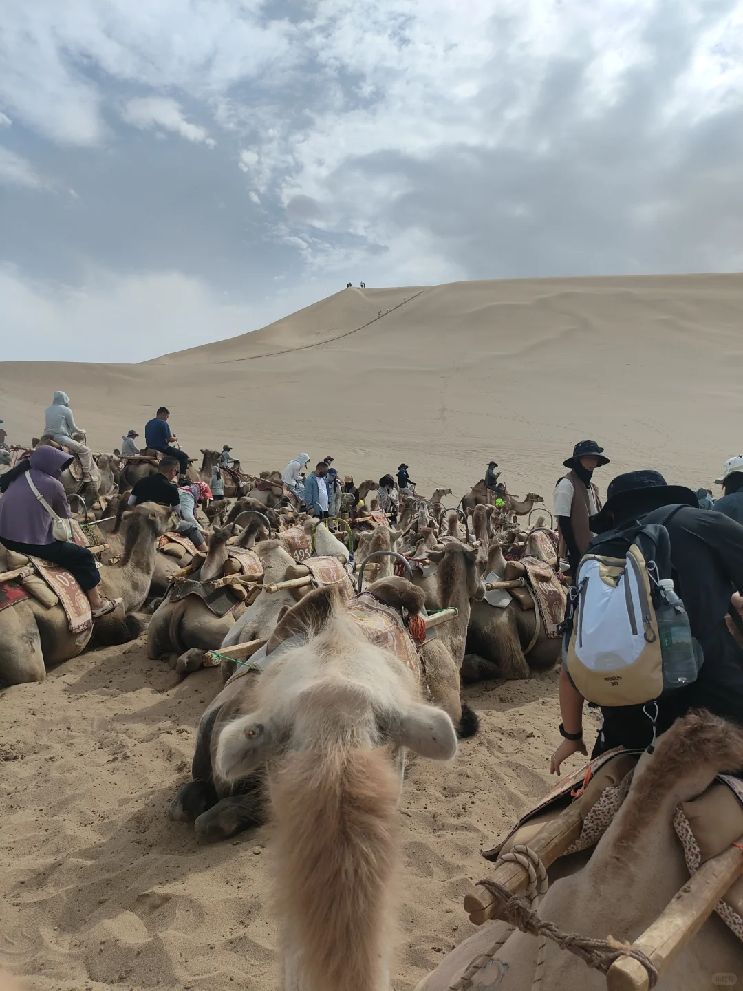 广西自驾新疆——第三站:敦煌