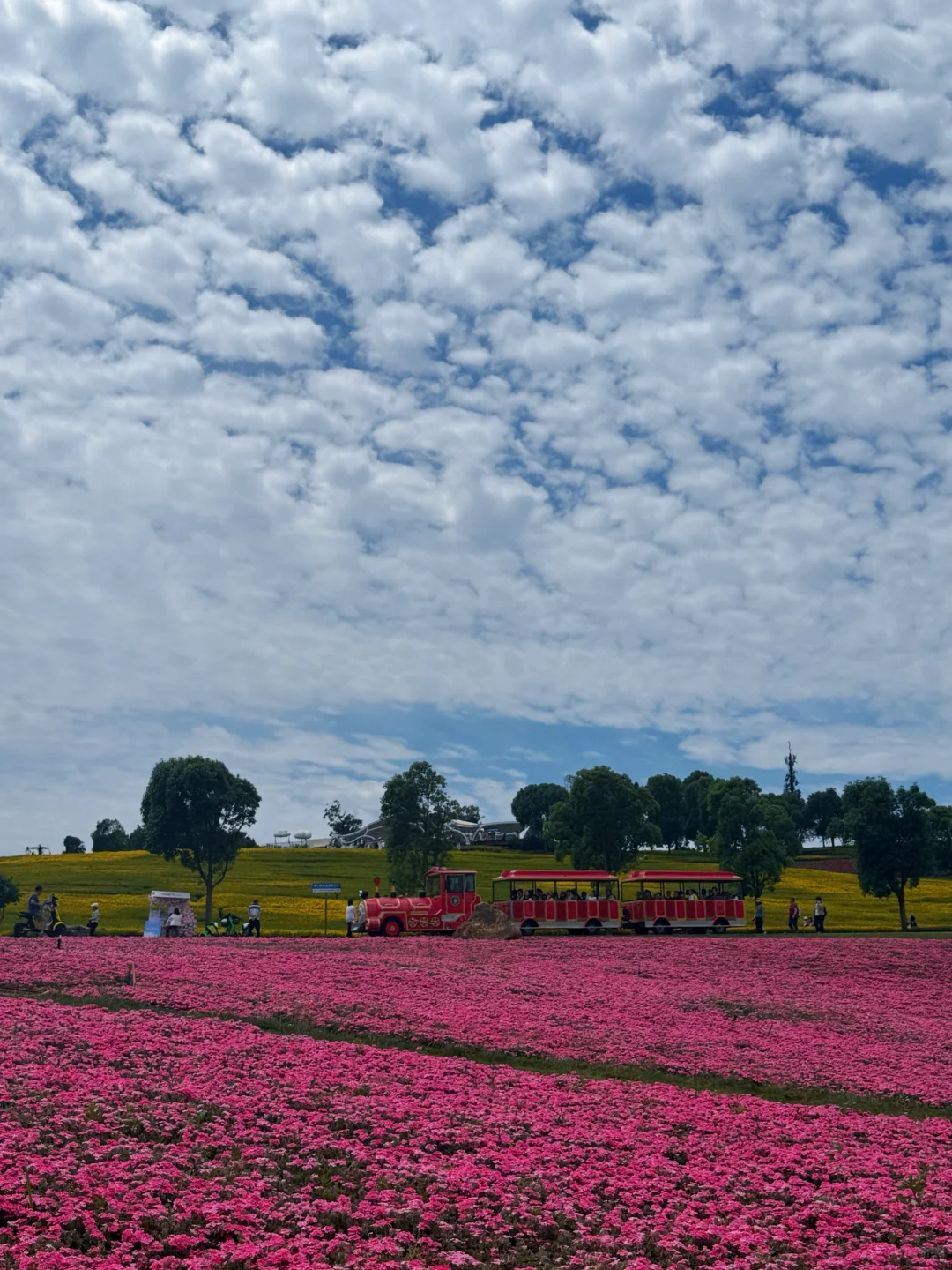 来弥勒太平湖景区，半天也能玩的超精彩💥