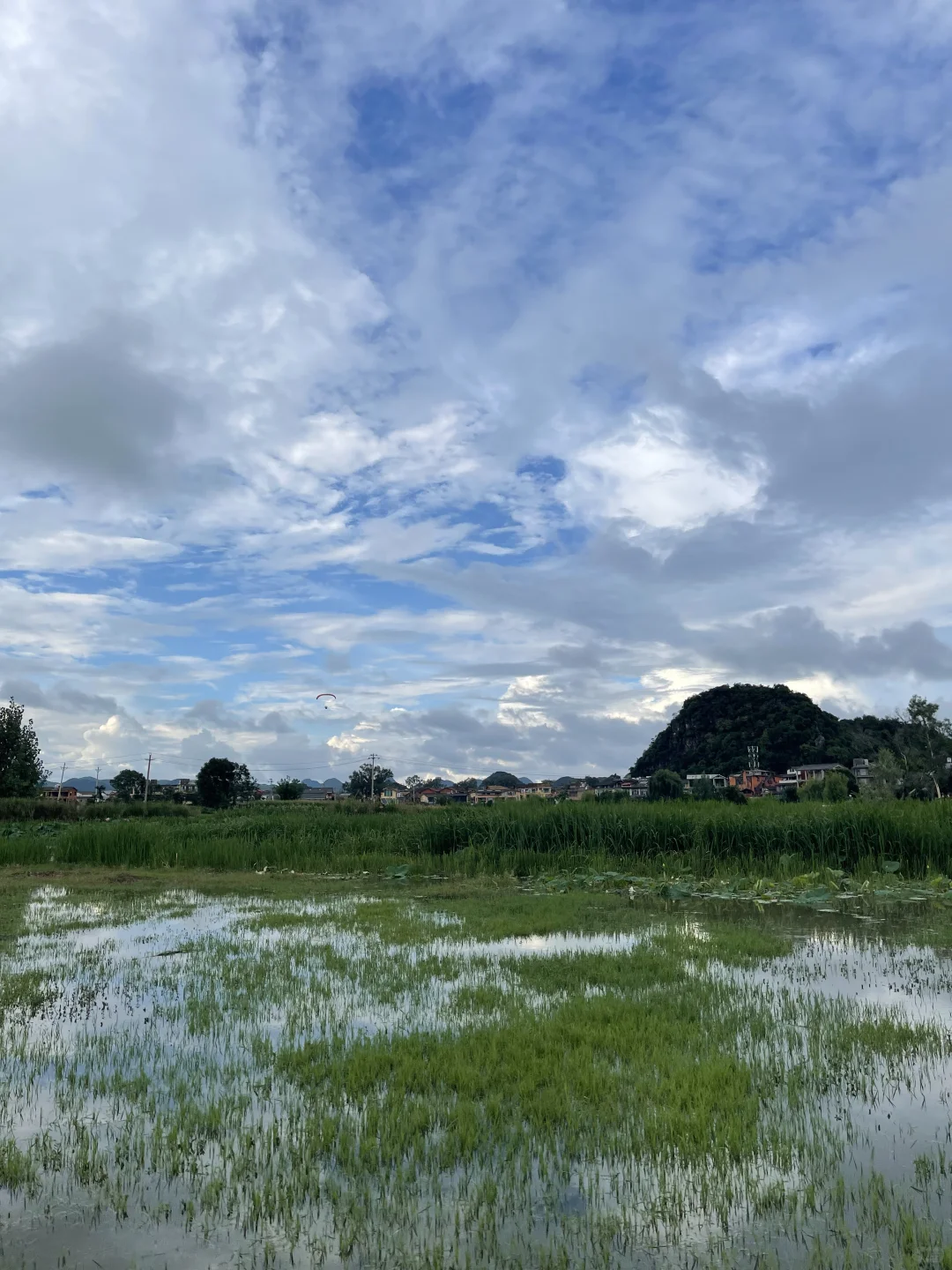 普者黑3日2夜亲子游🪷附上实用攻略