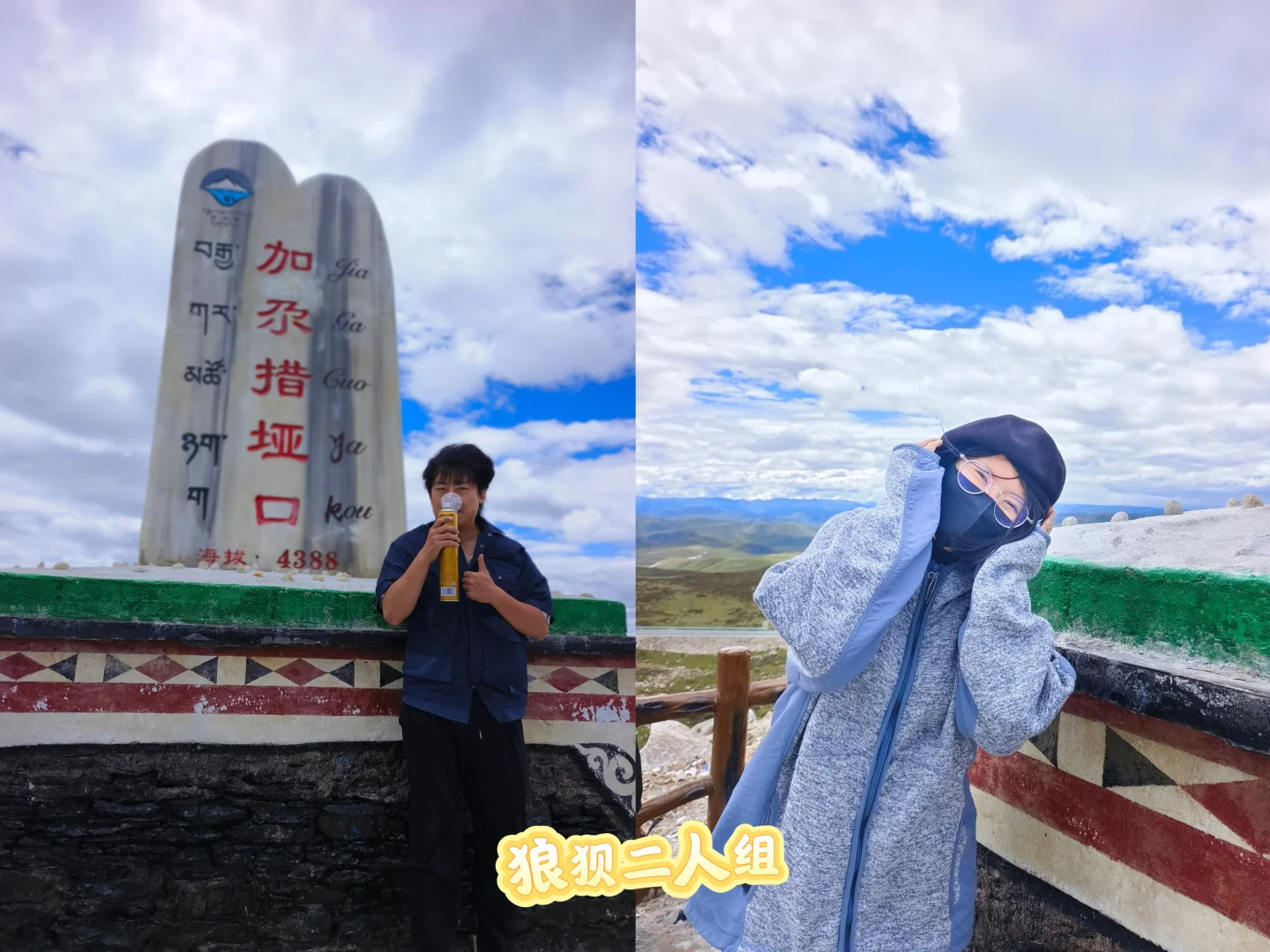 狗在川西也会高反吗？