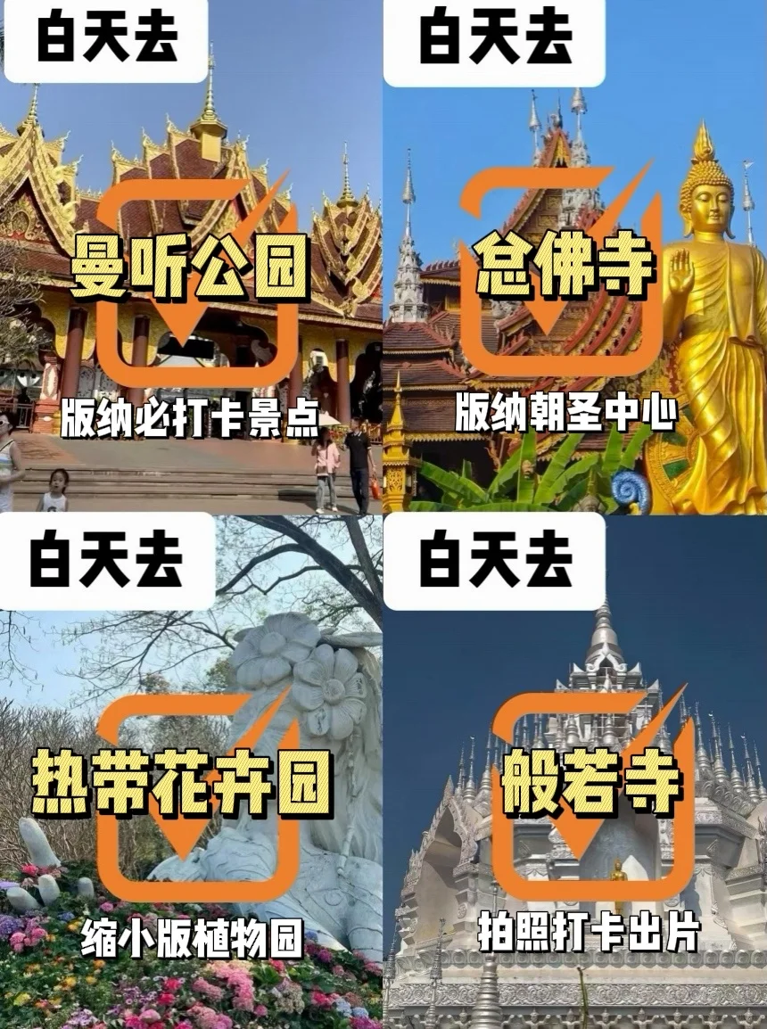 回来后立马总结版纳景点游逛情况‼️‼️