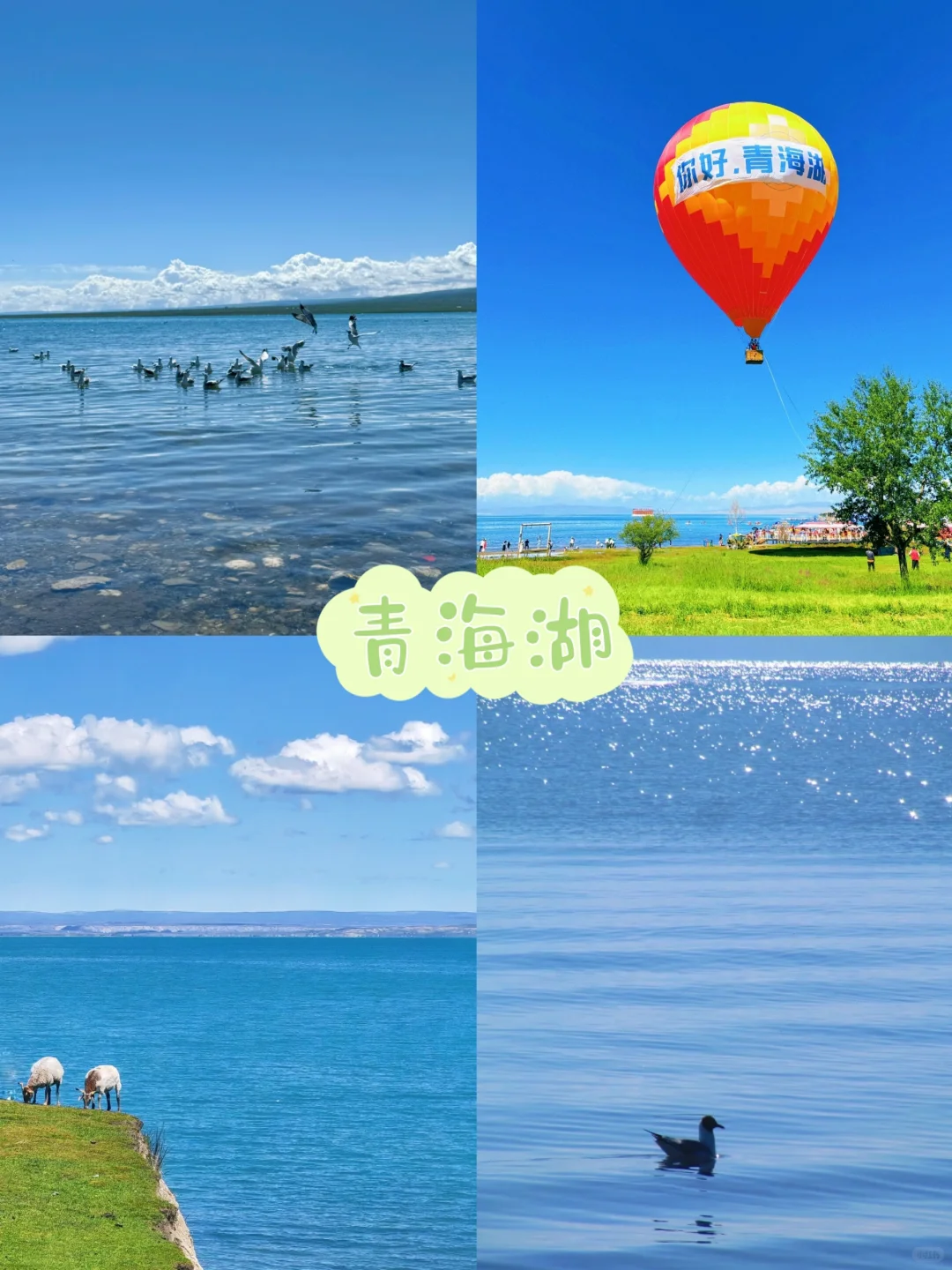 5-8月|青海3日游🚩精品纯玩小团🍻