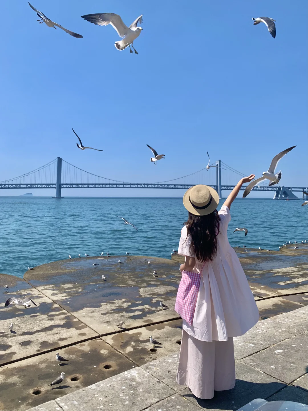 Live图!现在的大连😭简直就是人间理想!!