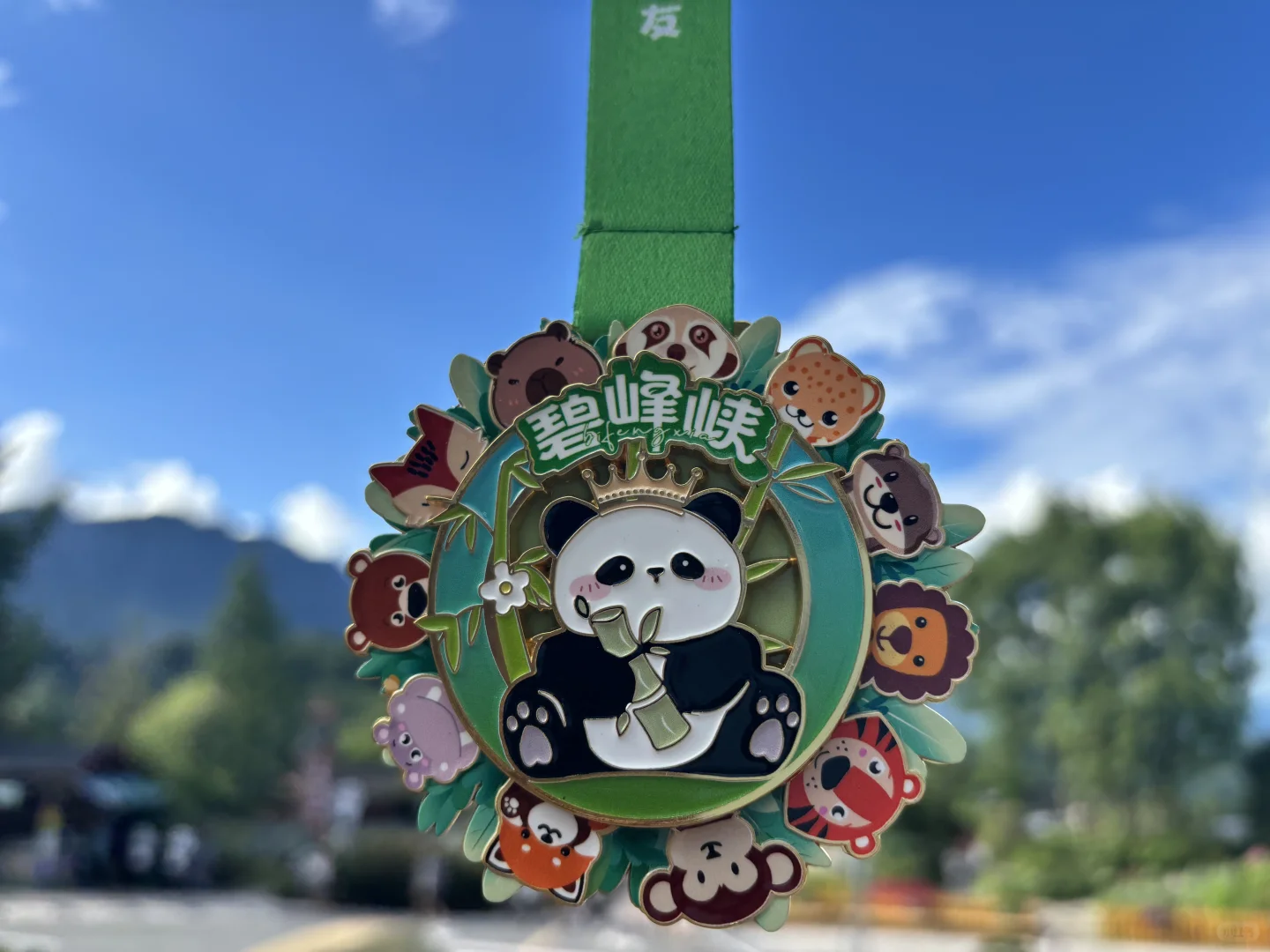 碧峰峡必拿奖牌攻略，🐼太乖了