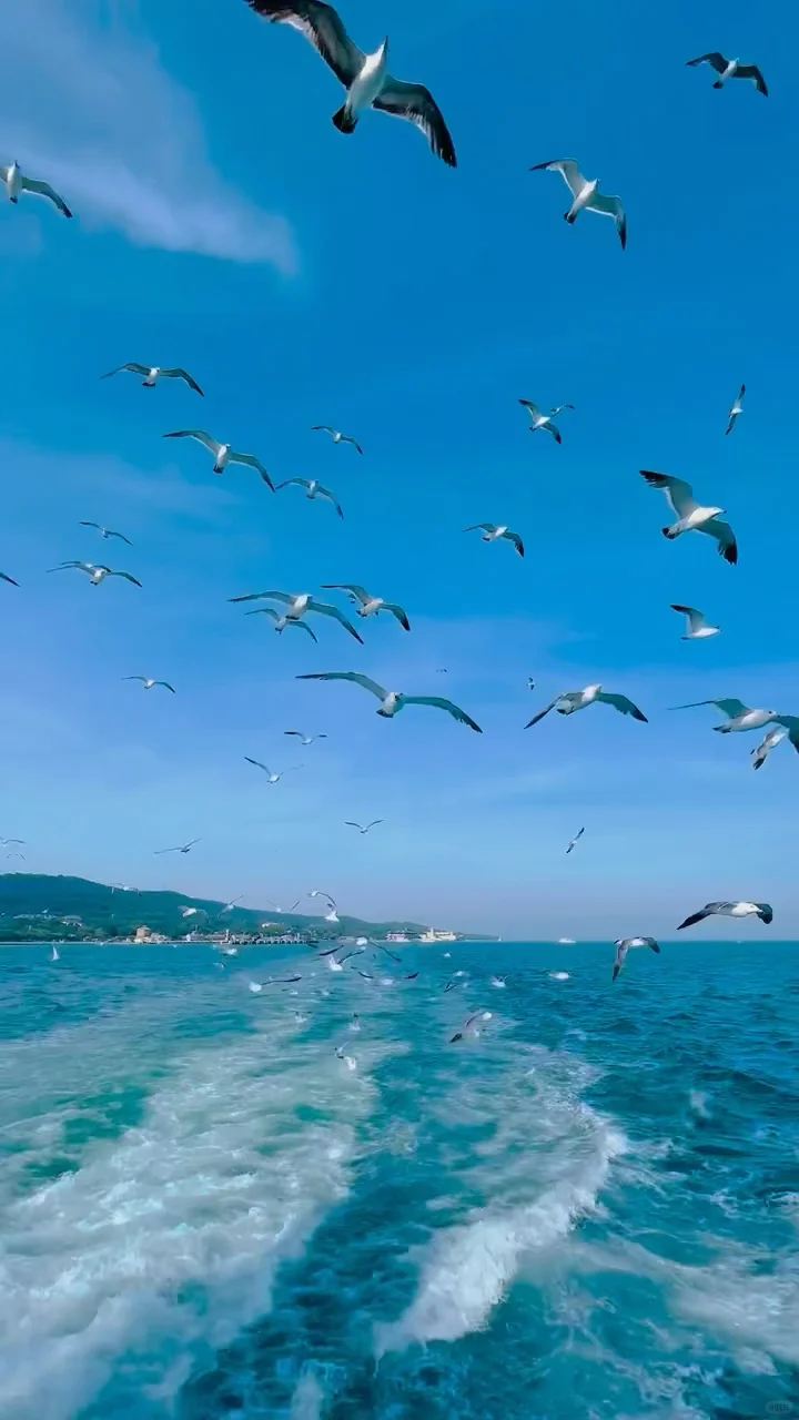 青岛-烟台-威海5天4晚怎么玩|附攻略🔥