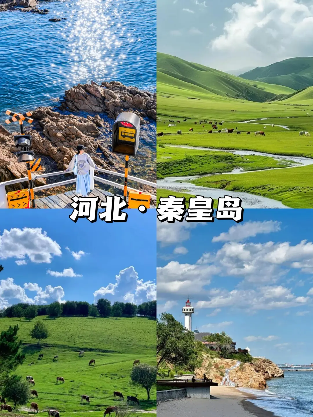 适合20-600人的避暑旅行城市✍🏻快快码住