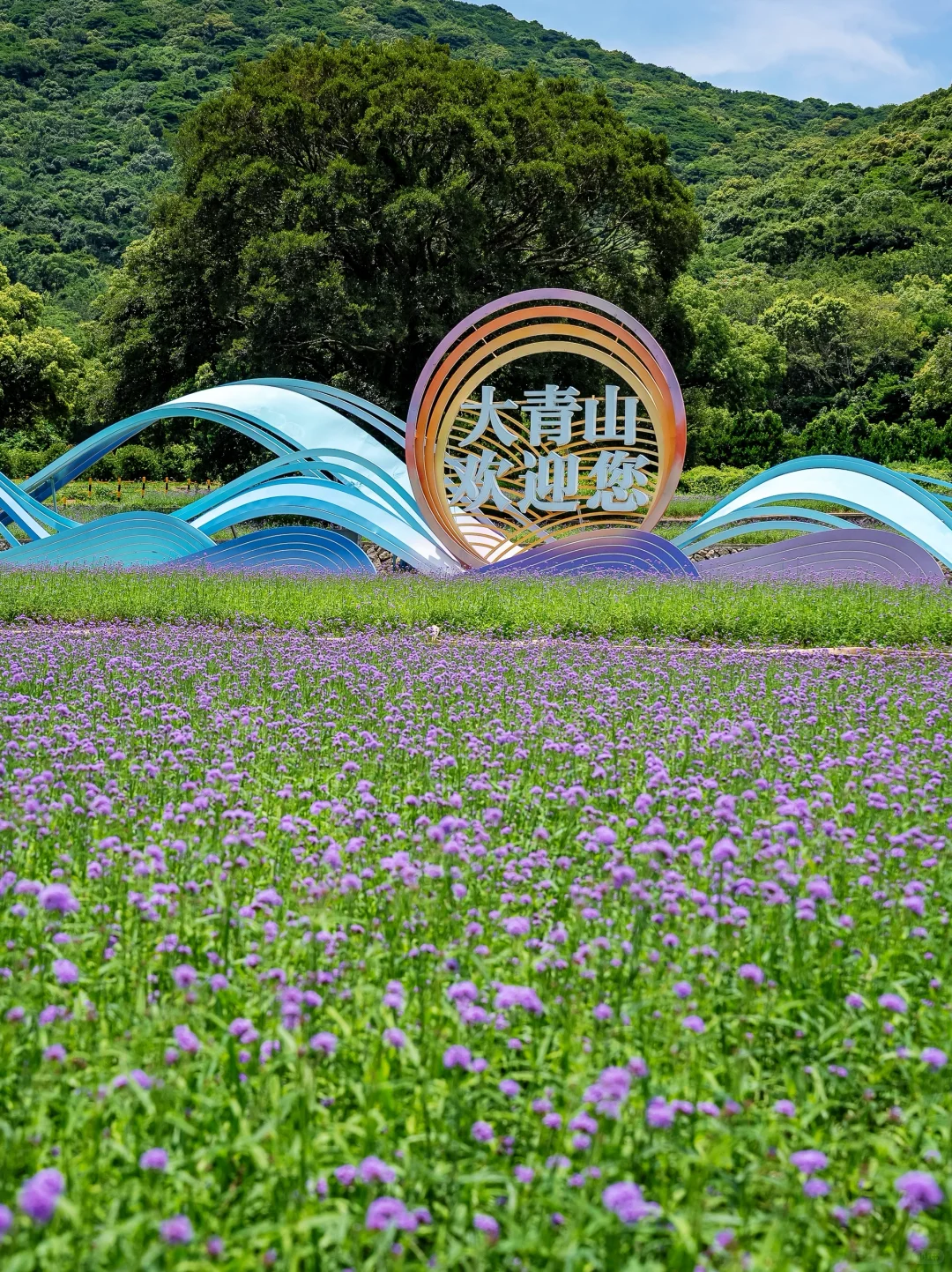 后悔才来！舟山可以自驾直达的蓝色海岛！！