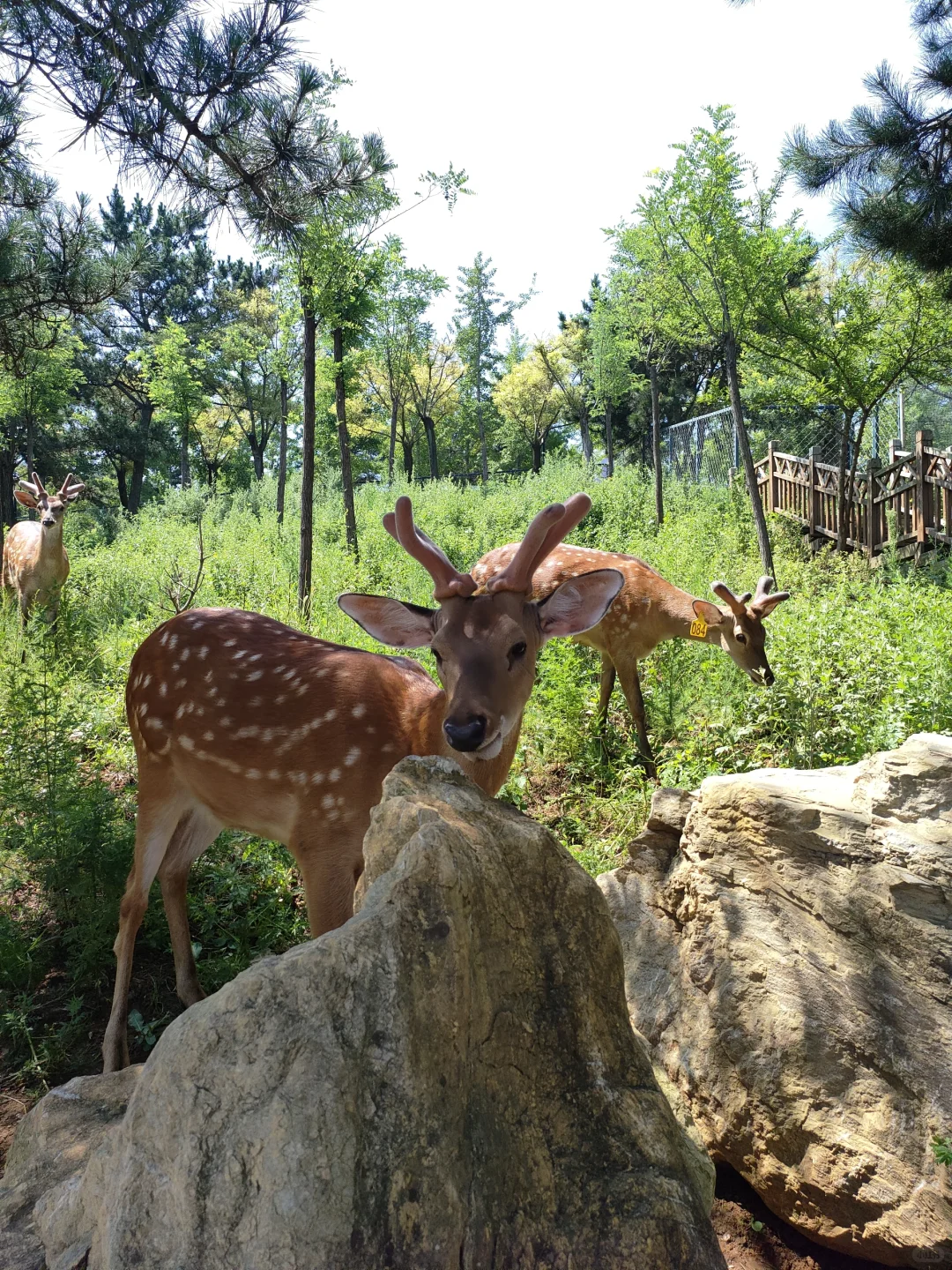 旅游记录 No.1:大连