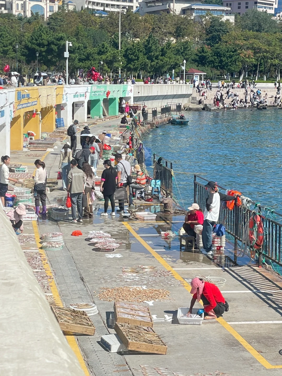 青岛-威海-烟台｜五天玩转三个城市（附excel）