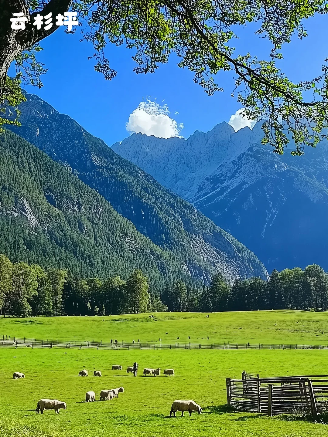 八人小团！人均268起✅打卡玉龙雪山✨