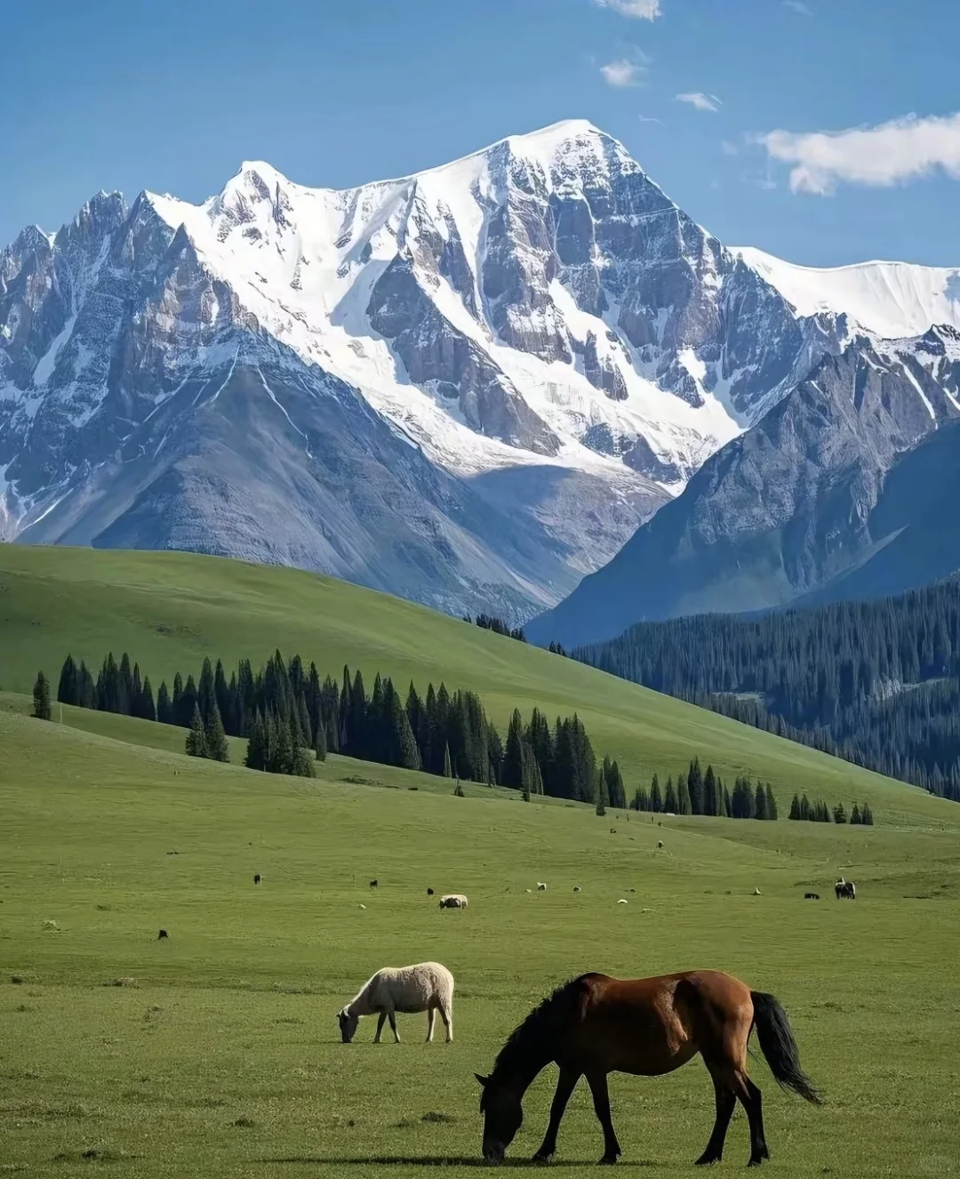 中国西部十省旅游目的地评级（个人向）