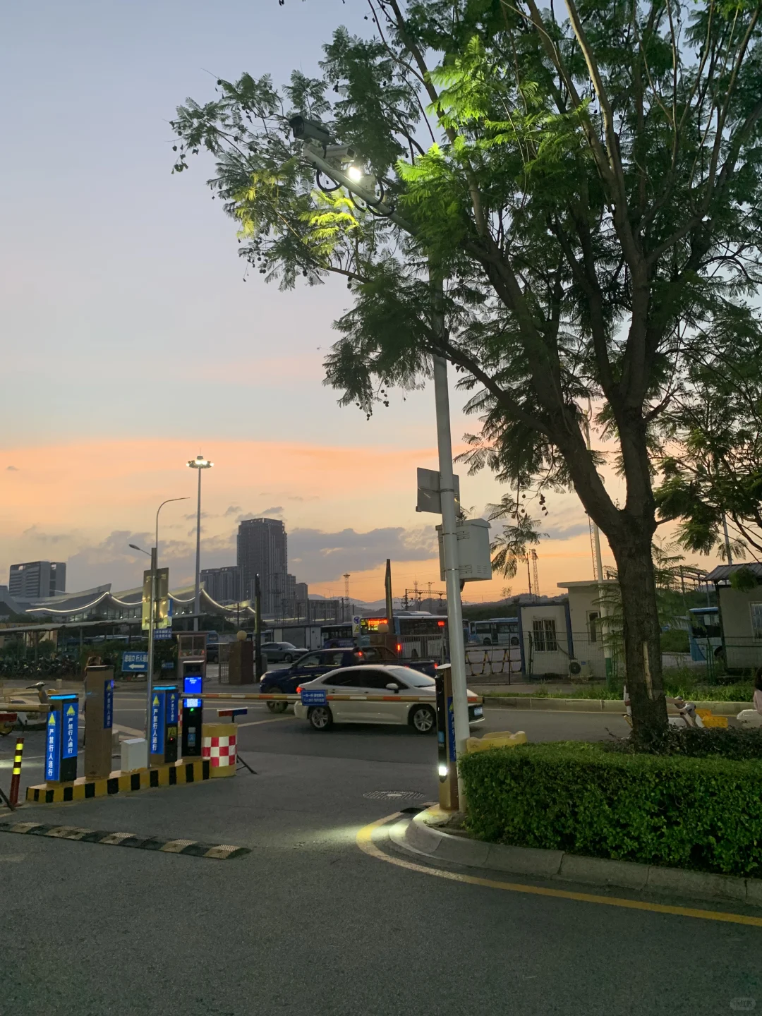 live｜生命的意义是感受