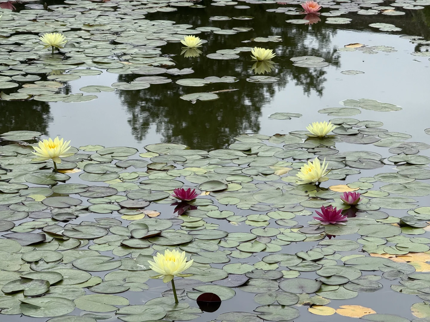 西安～天水|两天一晚旅游攻略（人均500）