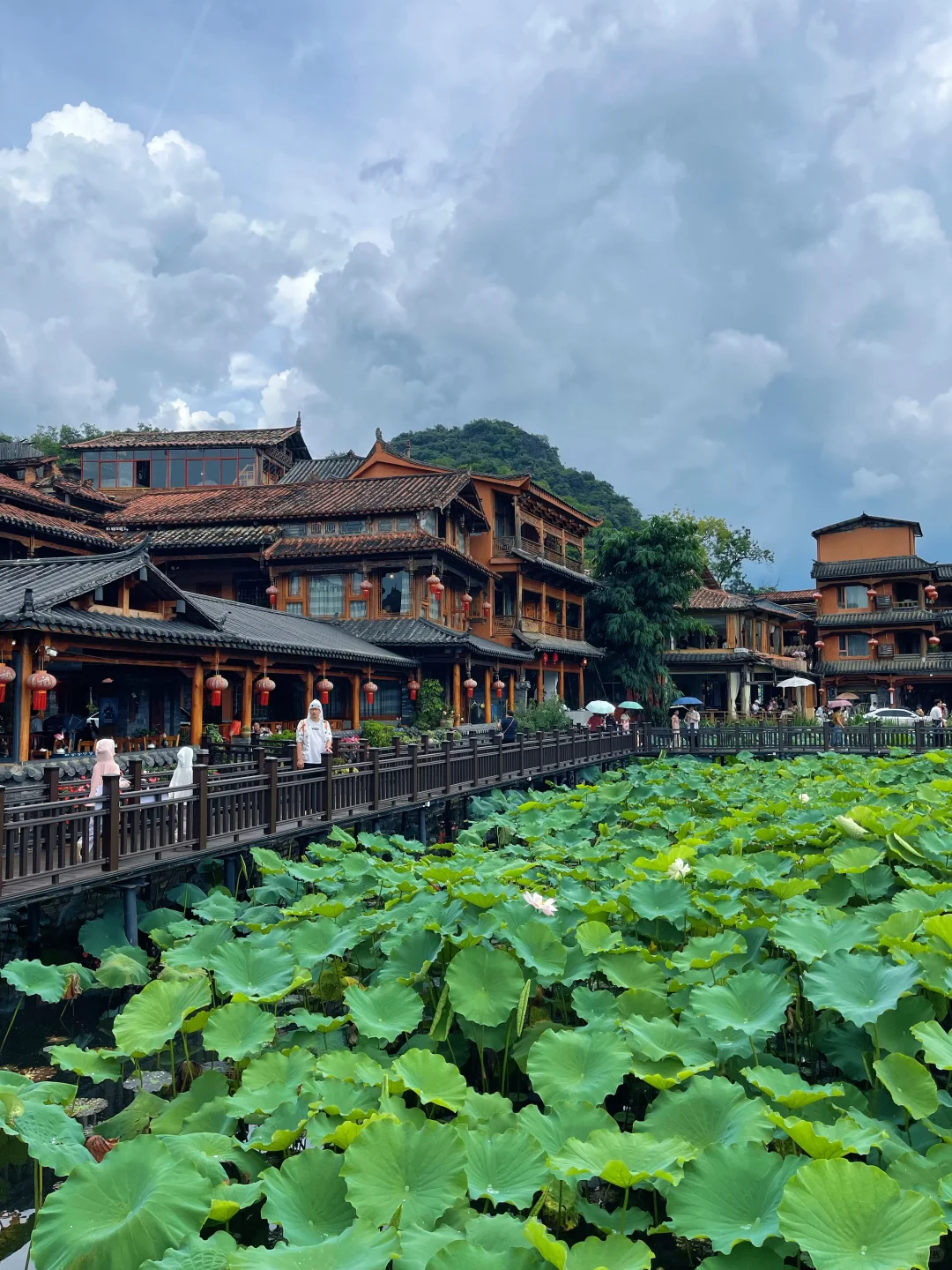 普者黑3日2夜亲子游🪷附上实用攻略