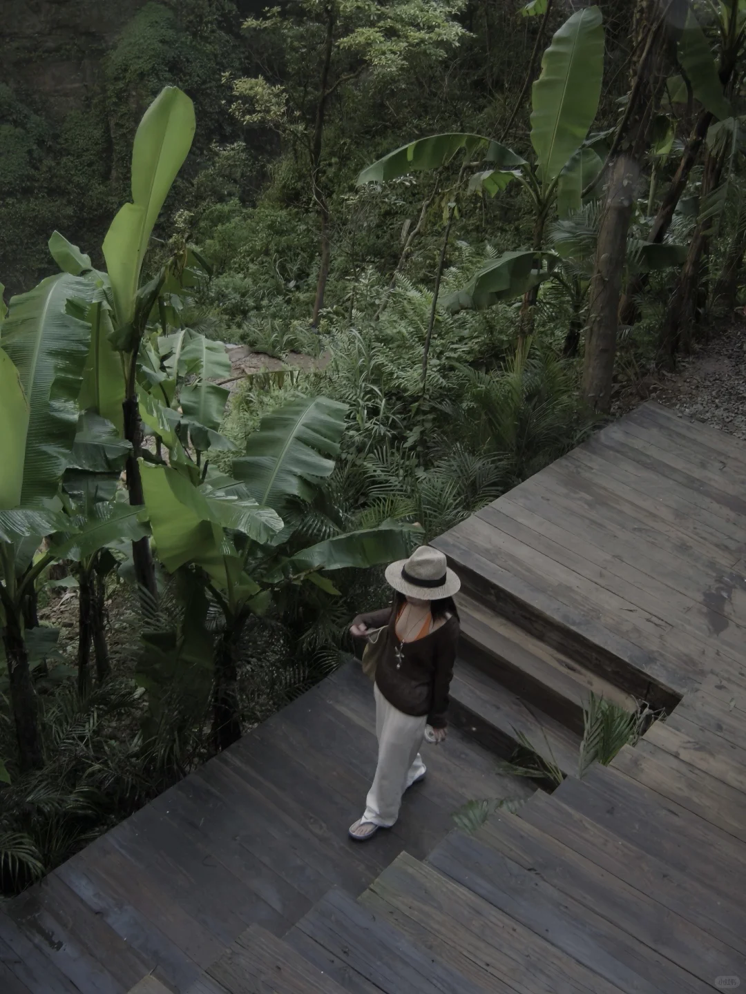 我把东南亚的票退了 因为贵州比东南亚更美