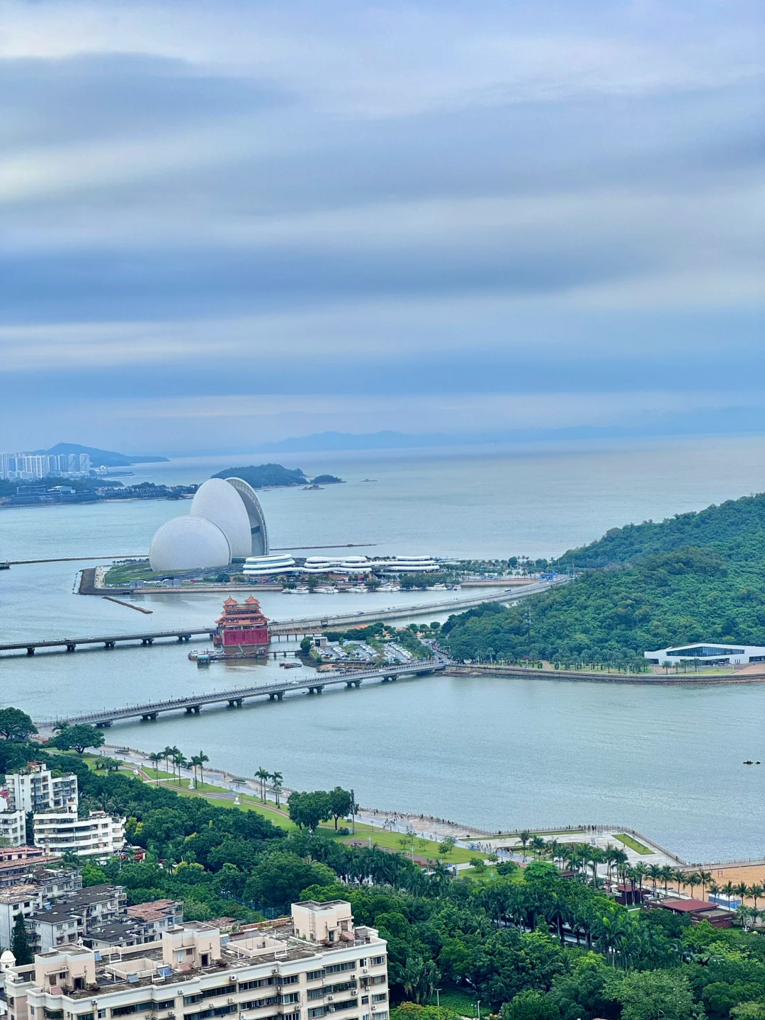 live实况｜车窗外的珠海好适合sea walk