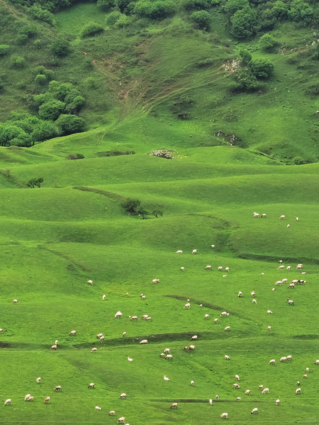 甘肃陇南，宝藏小城