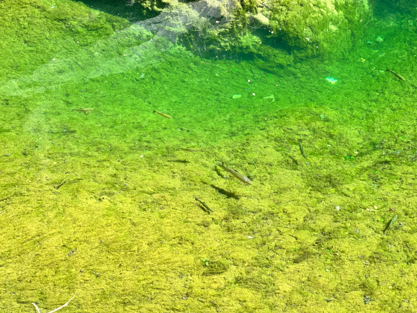 『毕业旅行之山西』 第三站 八泉峡⛰️