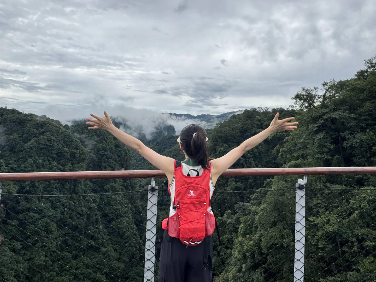 碧峰峡必拿奖牌攻略，🐼太乖了