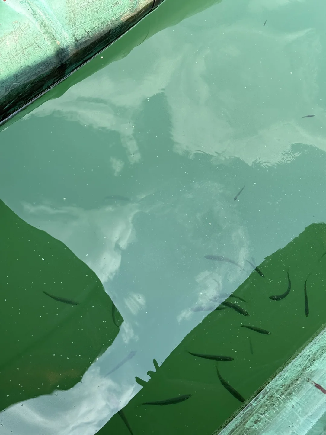 永福！这个地方也太……