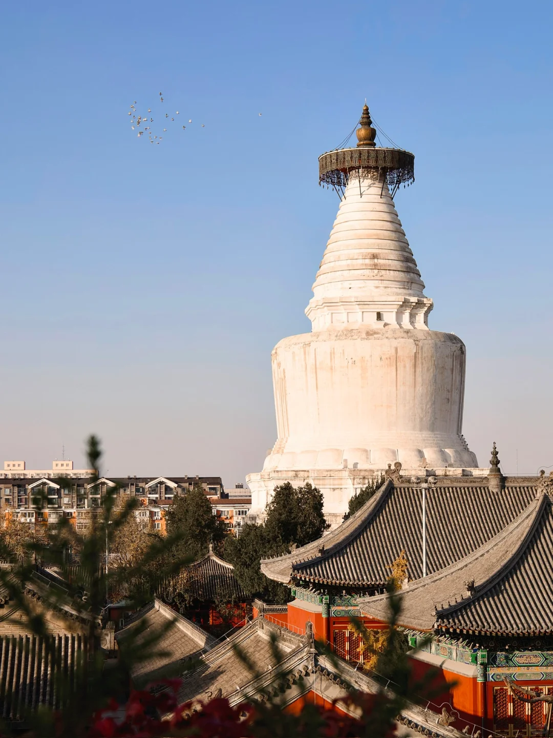 本地人建议‼️来北京必逛的四条Citywalk路线